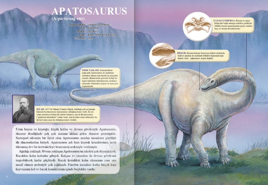 dinozor ic sayfa 2 Haziran Ayı Kitaplığım - 2020
