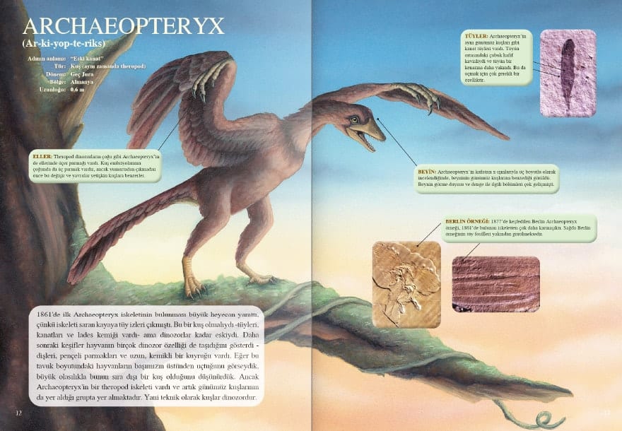 dinozor ic sayfa 4 Haziran Ayı Kitaplığım - 2020