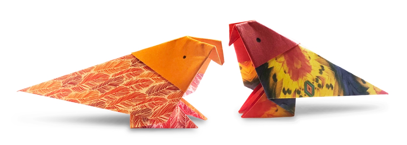 muhabbet kusu yapalim Origami Muhabbet Kuşu