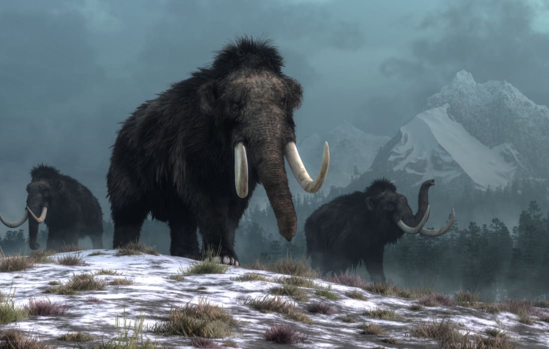 mamut Buz Çağının Dev Hayvanları