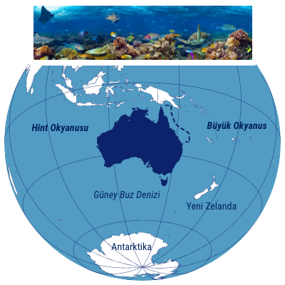Mobil harita resif Avustralya