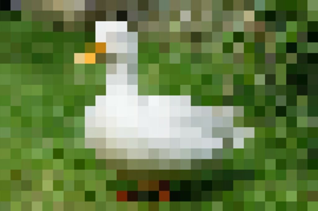 duck pixel 1 Pikselleri Dolduralım