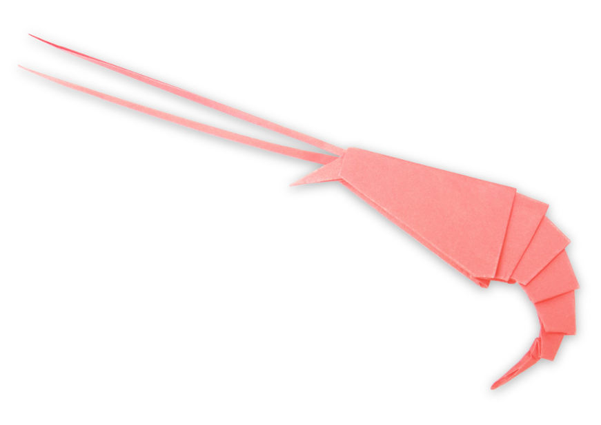 origami karides2 Origami Karides