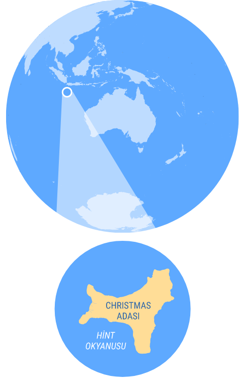 christmas adasi harita mobil Yengeçlerin Göçü