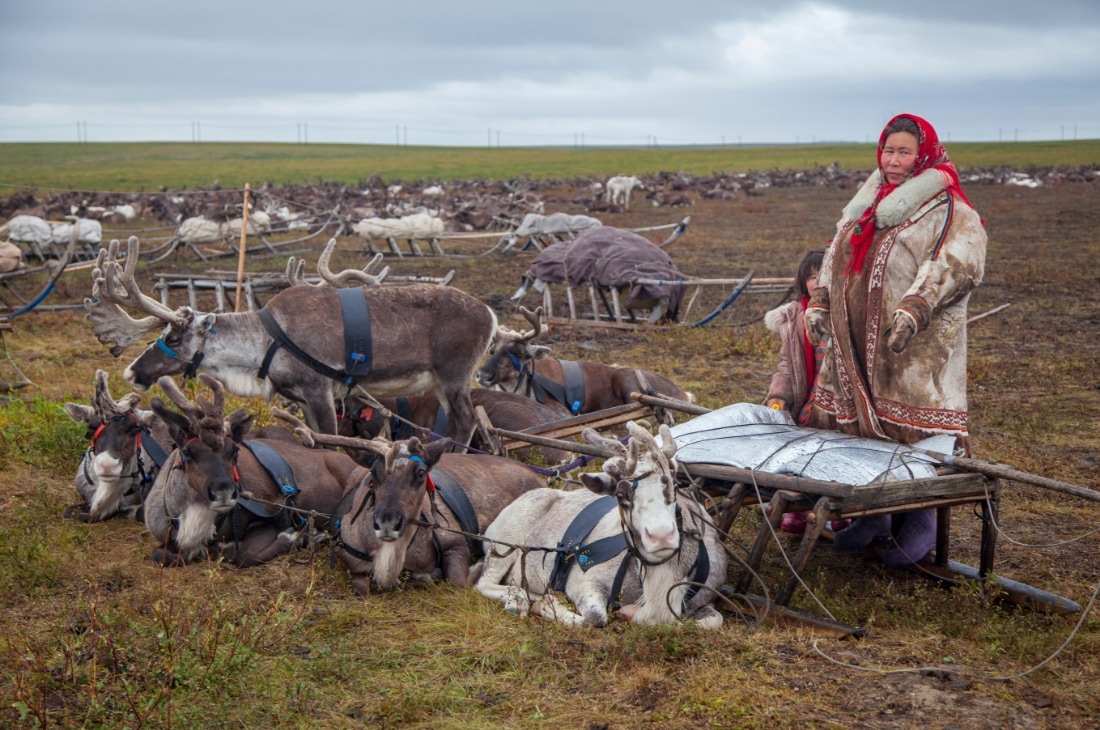 Tundralarda yaşayan başka bir halk da Nenetlerdir.