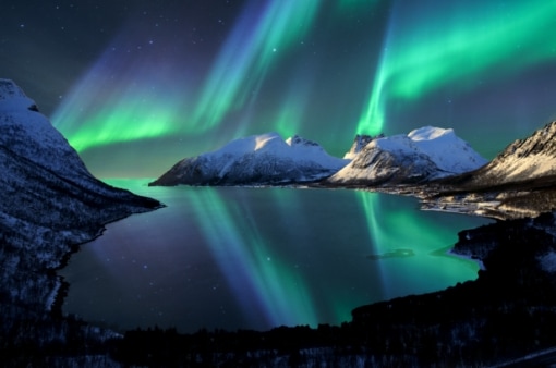 norvec aurora Norveç