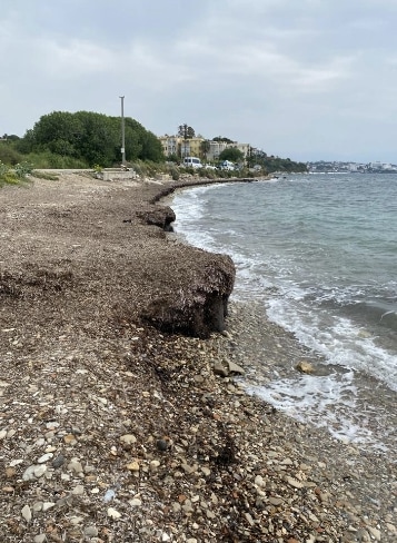 t deniz cayirlari banketler 1 Denizlerin Geleceği Deniz Çayırları