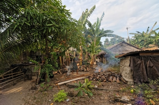 p y g kirsal yasam Papua Yeni Gine