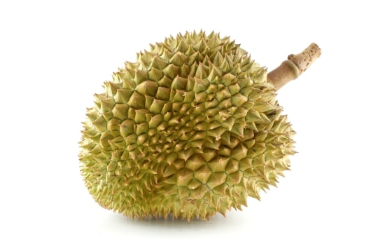durian meyvelerin kralı