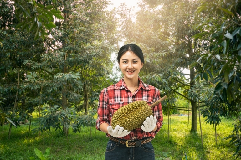 durian meyvelerin kralı