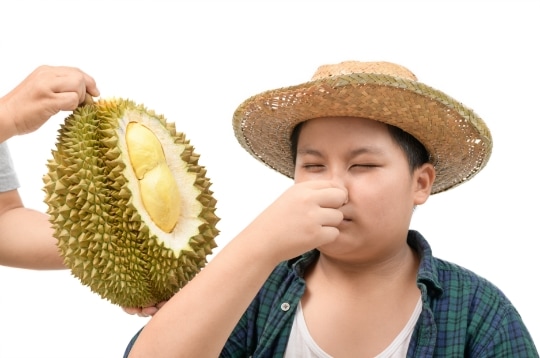 durian meyvelerin kralı