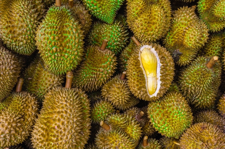 durian meyvelerin kralı