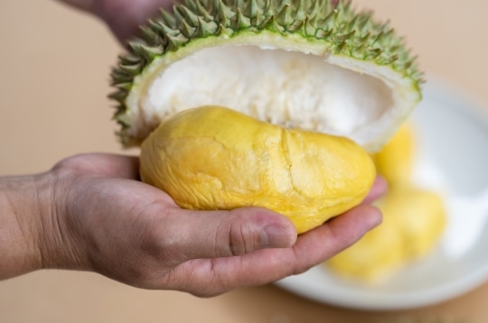 durian meyvelerin kralı