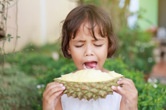 durian meyvelerin kralı
