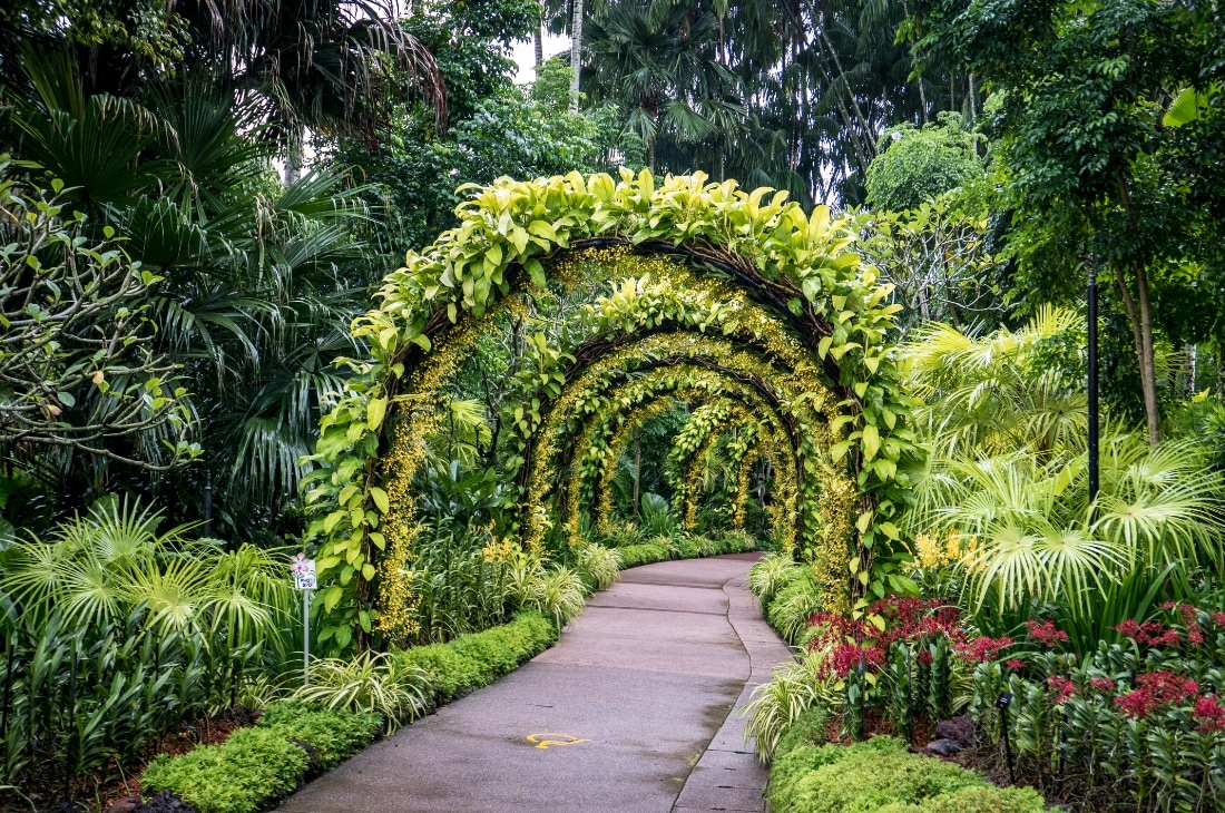 Singapur Botanik Bahçeleri