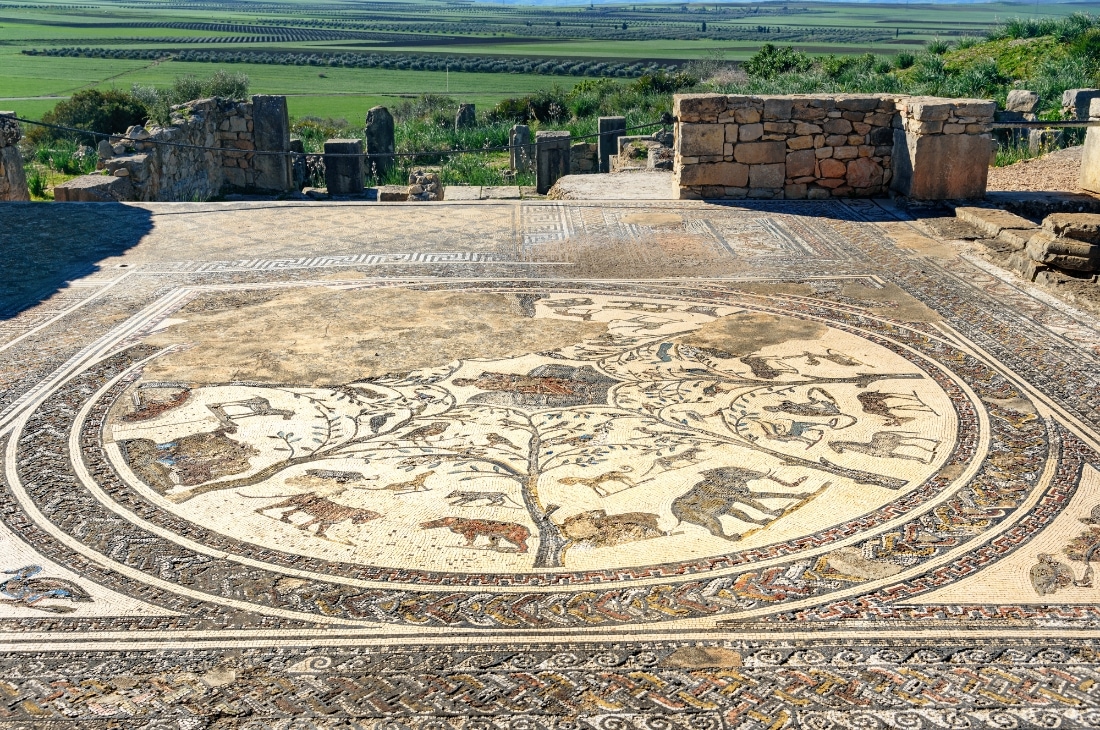 Volubilis Antik Kenti, Fas