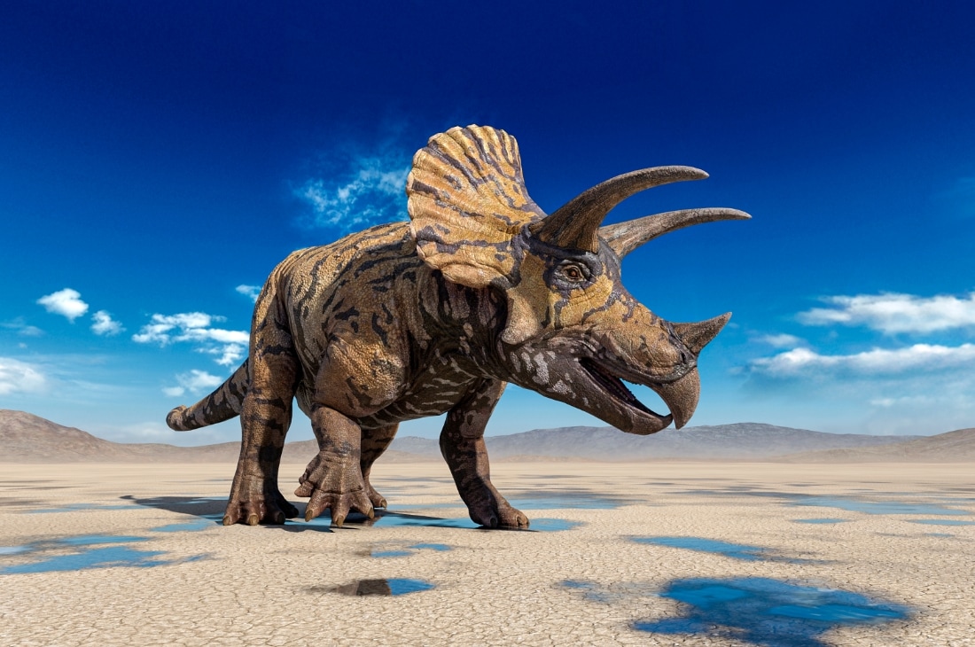 zırhlı hayvanlar - triseratops