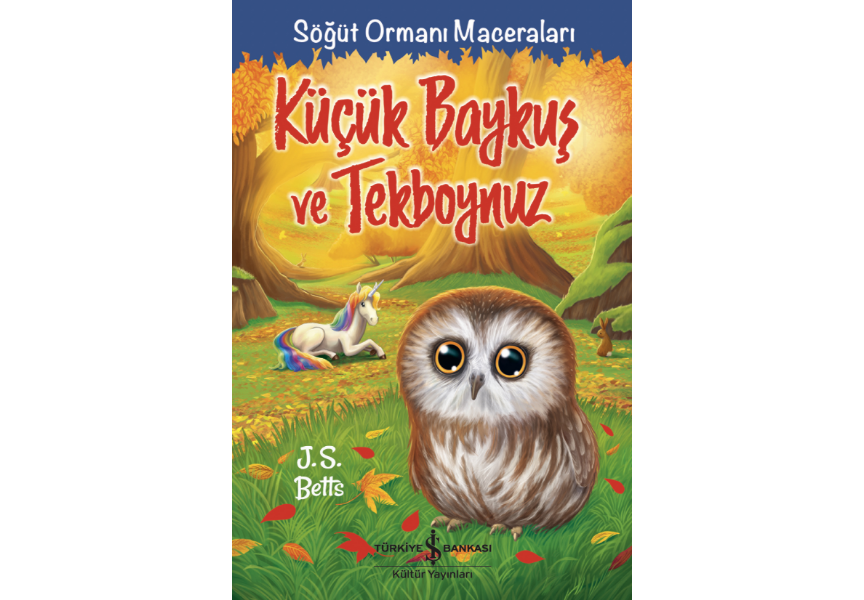 Küçük Baykuş ve Tekboynuz