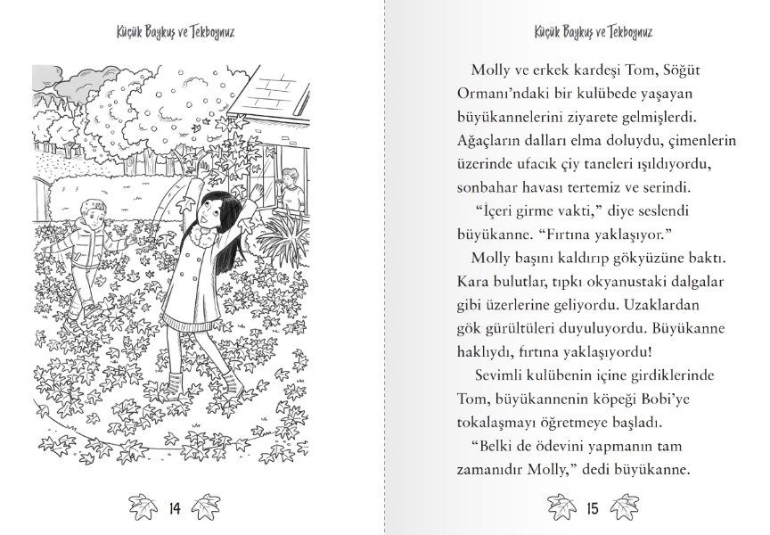Küçük Baykuş ve Tekboynuz