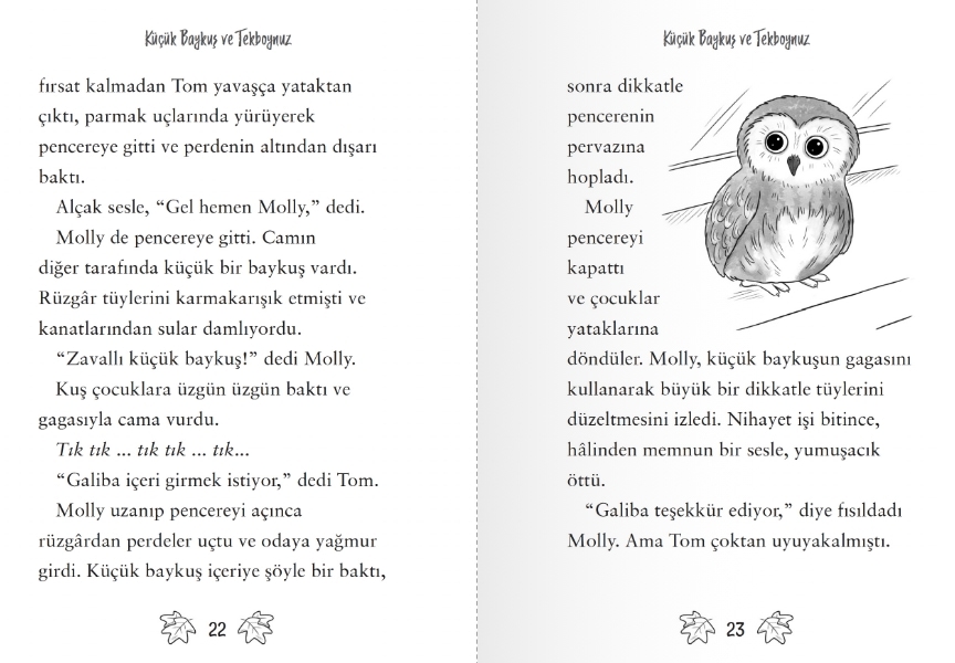 Küçük Baykuş ve Tekboynuz