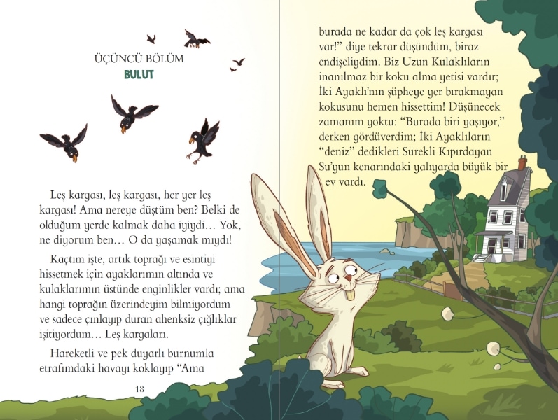 Tavşan Bulut’u Kim Gördü?