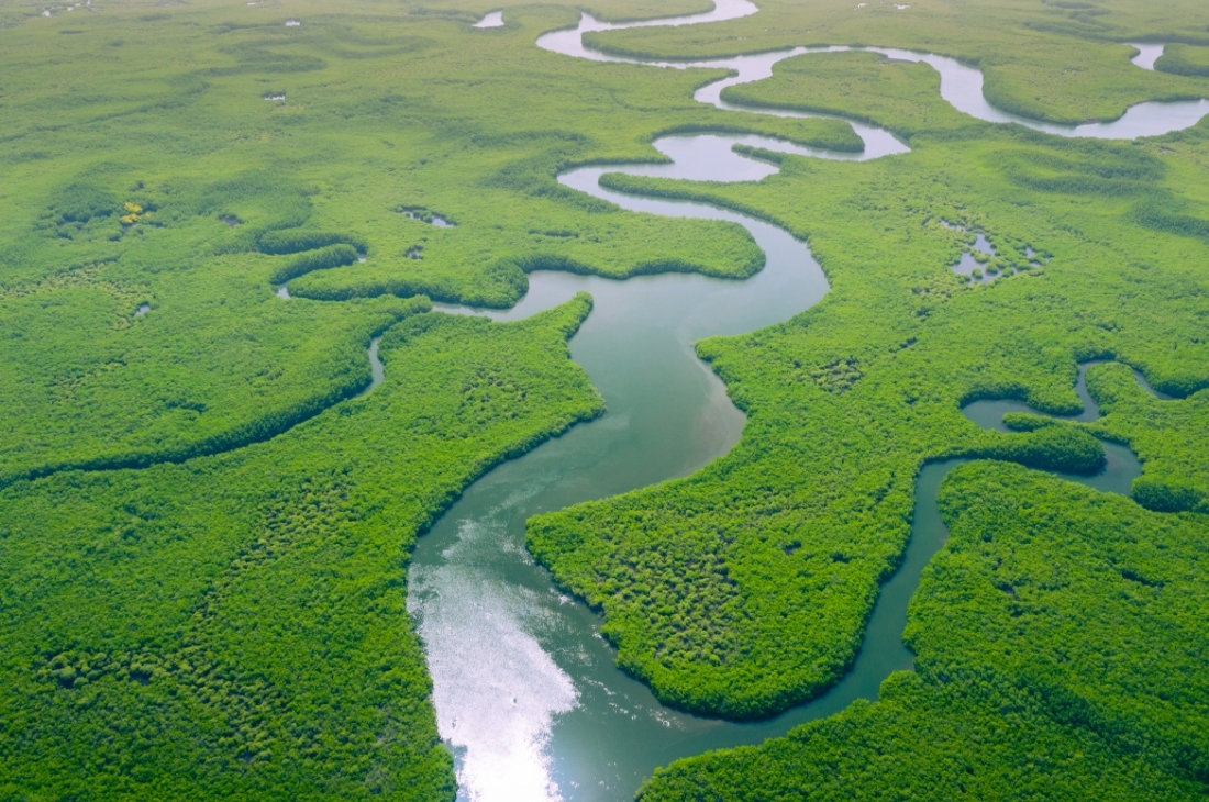 deltalar delta nedir Deltalar