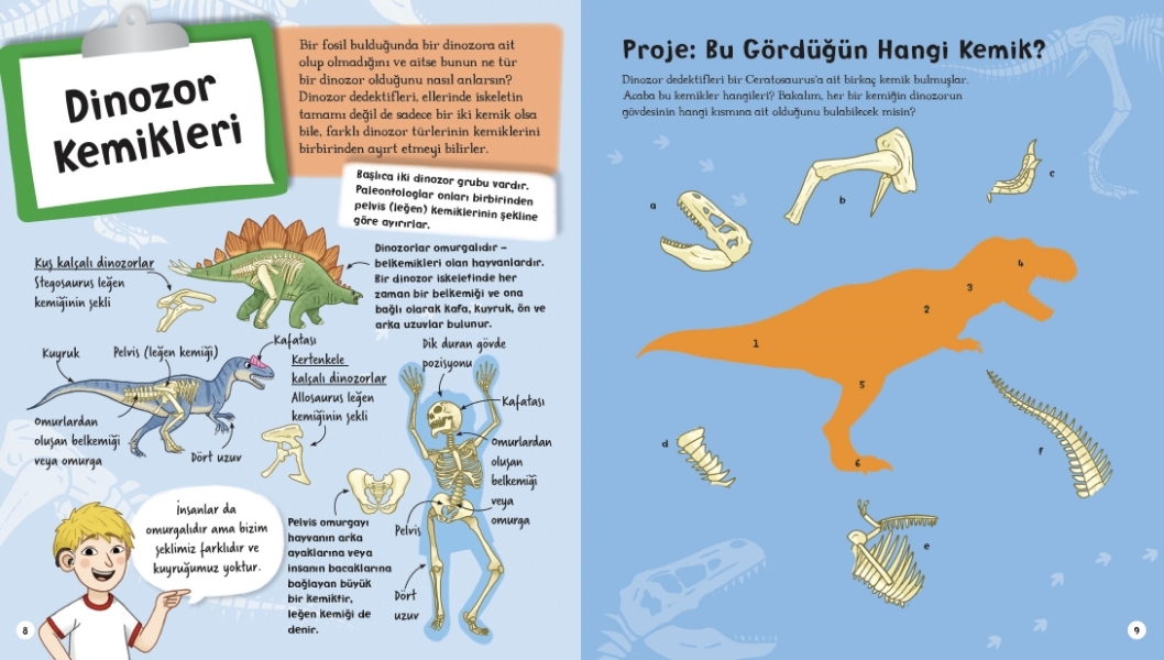 Dinozor Dedektifi Olabilirim